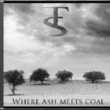 Where Ash Meets Coal