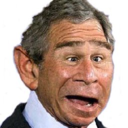 Bush Confesses