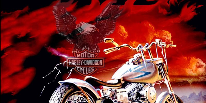 Harley Davidson show