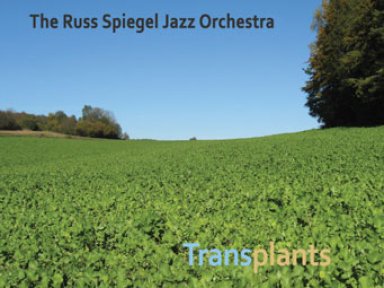 RS_Russ-Spiegel_TRANSPLANTS